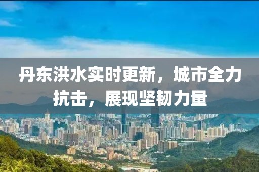 丹东洪水实时更新，城市全力抗击，展现坚韧力量