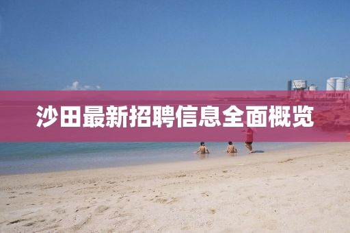 沙田最新招聘信息全面概览