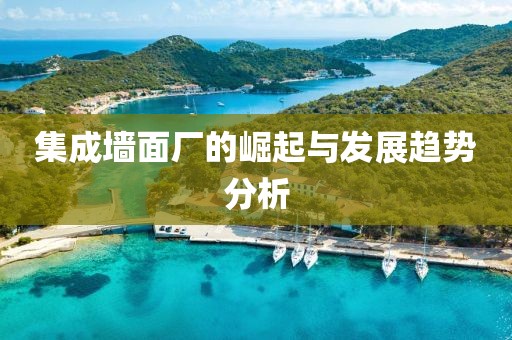 集成墙面厂的崛起与发展趋势分析