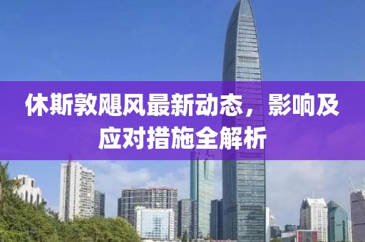 休斯敦飓风最新动态，影响及应对措施全解析