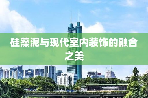 硅藻泥与现代室内装饰的融合之美
