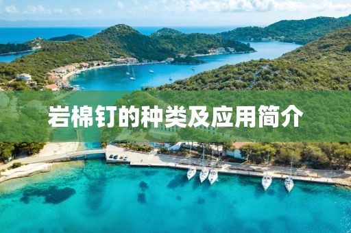 岩棉钉的种类及应用简介