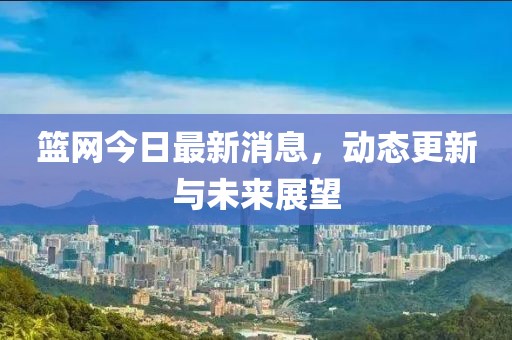 篮网今日最新消息，动态更新与未来展望
