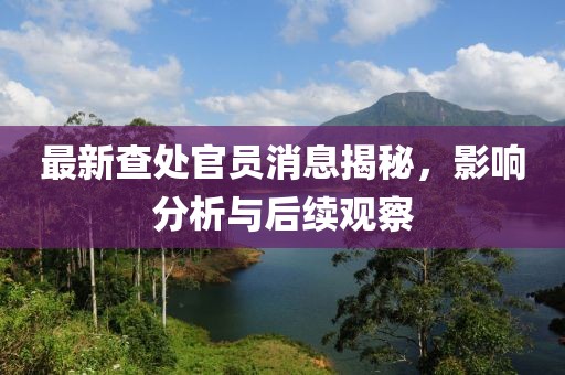最新查处官员消息揭秘，影响分析与后续观察