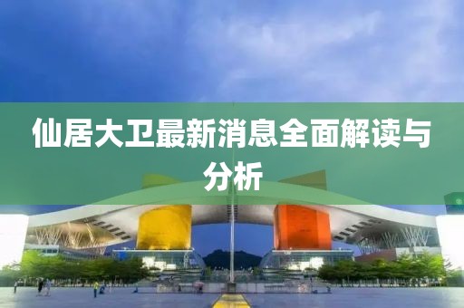 仙居大卫最新消息全面解读与分析