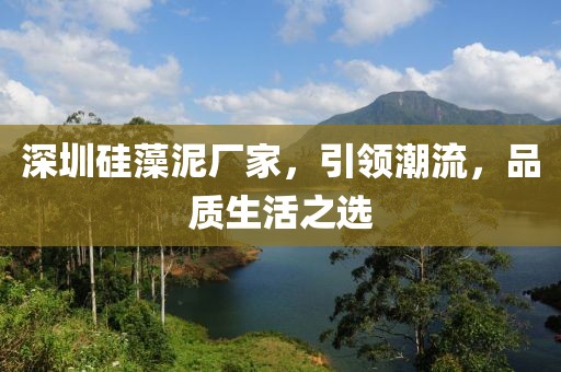 深圳硅藻泥厂家，引领潮流，品质生活之选