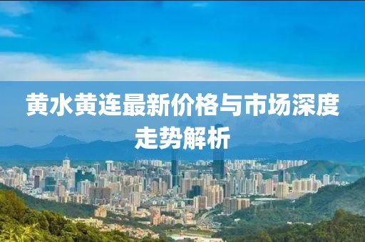 施工流程 第30页