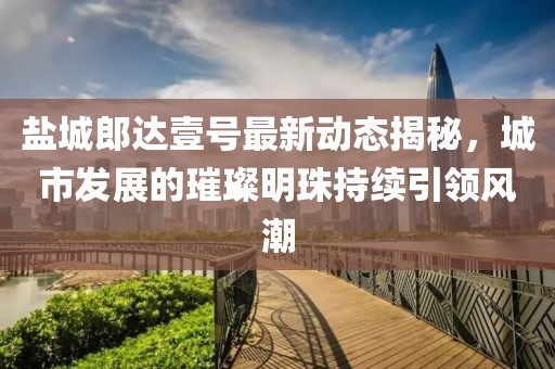 盐城郎达壹号最新动态揭秘，城市发展的璀璨明珠持续引领风潮