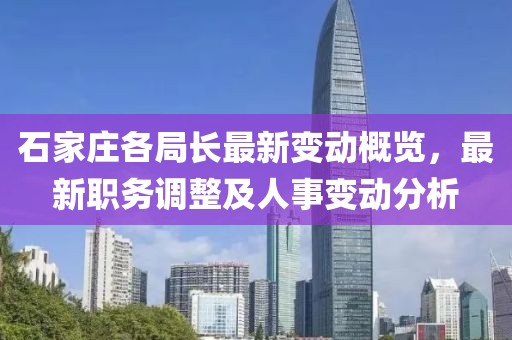 石家庄各局长最新变动概览，最新职务调整及人事变动分析