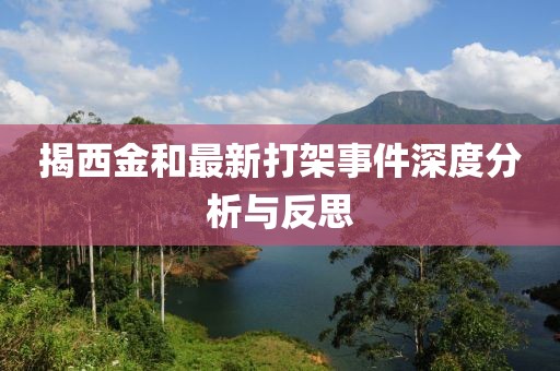 揭西金和最新打架事件深度分析与反思