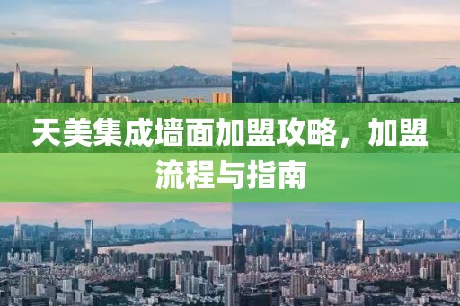 天美集成墙面加盟攻略，加盟流程与指南