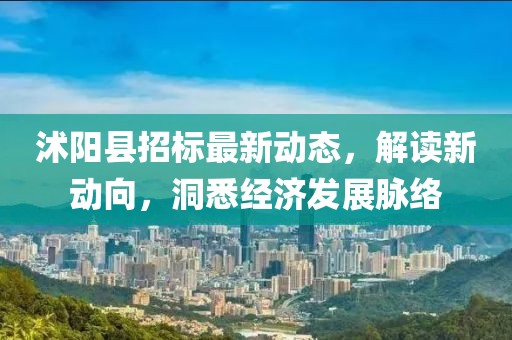 沭阳县招标最新动态，解读新动向，洞悉经济发展脉络