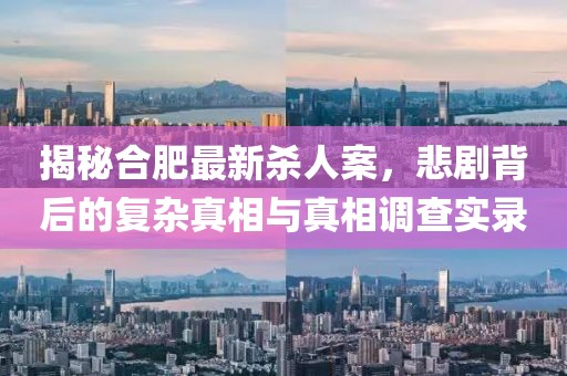 揭秘合肥最新杀人案，悲剧背后的复杂真相与真相调查实录