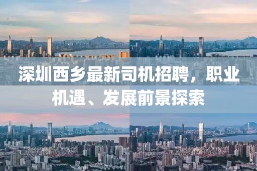 深圳西乡最新司机招聘，职业机遇、发展前景探索
