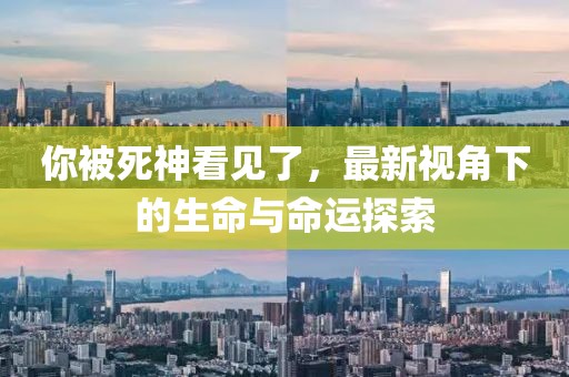 你被死神看见了，最新视角下的生命与命运探索