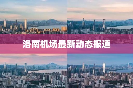 洛南机场最新动态报道