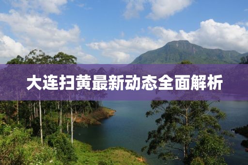 大连扫黄最新动态全面解析