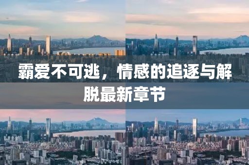 霸爱不可逃，情感的追逐与解脱最新章节
