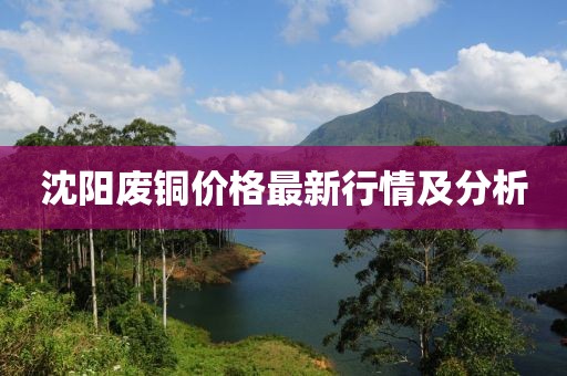 沈阳废铜价格最新行情及分析