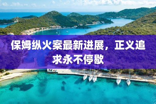 保姆纵火案最新进展，正义追求永不停歇