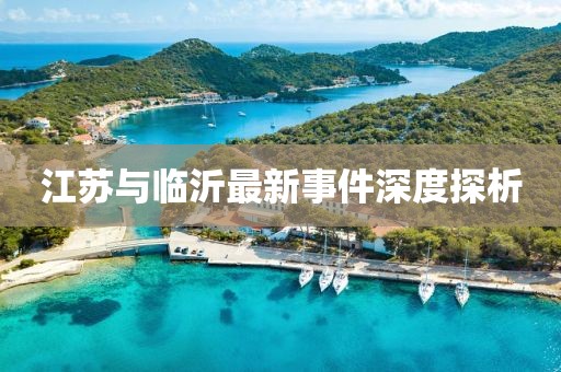 江苏与临沂最新事件深度探析