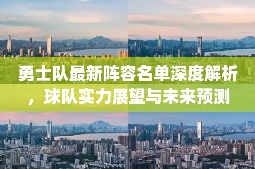勇士队最新阵容名单深度解析，球队实力展望与未来预测