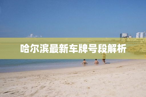 哈尔滨最新车牌号段解析
