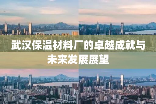 武汉保温材料厂的卓越成就与未来发展展望