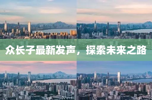 众长子最新发声，探索未来之路
