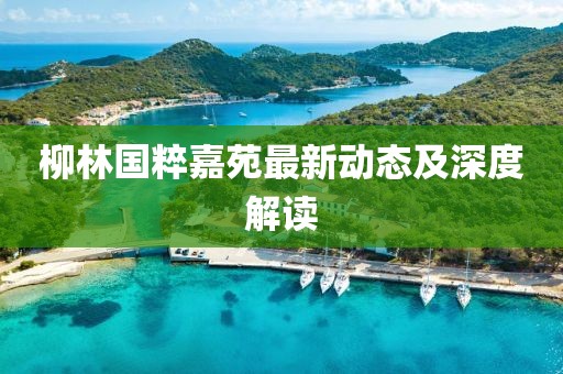 柳林国粹嘉苑最新动态及深度解读