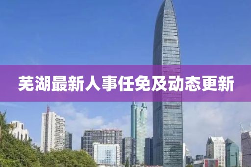 芜湖最新人事任免及动态更新