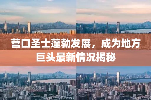 营口圣士蓬勃发展，成为地方巨头最新情况揭秘