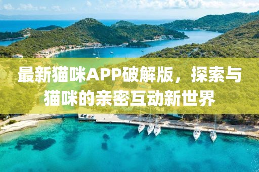 最新猫咪APP破解版，探索与猫咪的亲密互动新世界