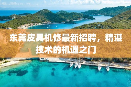东莞皮具机修最新招聘，精湛技术的机遇之门