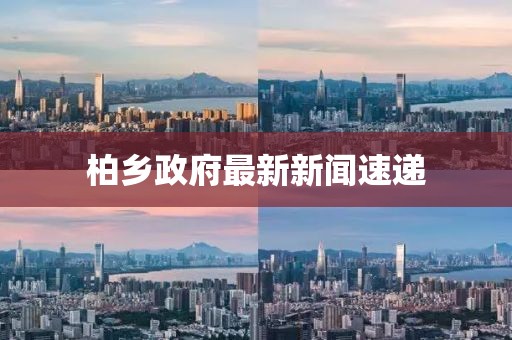 柏乡政府最新新闻速递