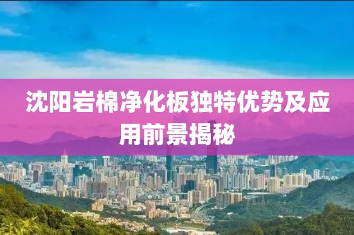 沈阳岩棉净化板独特优势及应用前景揭秘