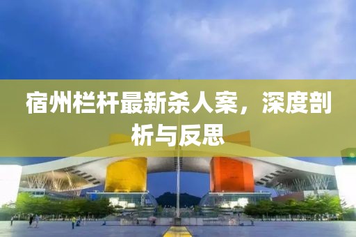 宿州栏杆最新杀人案，深度剖析与反思