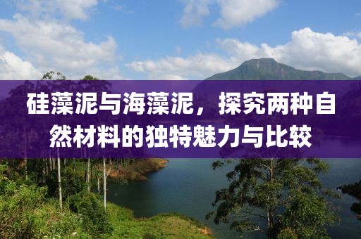 硅藻泥与海藻泥，探究两种自然材料的独特魅力与比较
