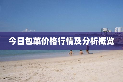 今日包菜价格行情及分析概览