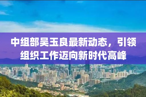 中组部吴玉良最新动态，引领组织工作迈向新时代高峰