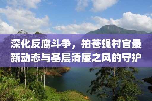 深化反腐斗争，拍苍蝇村官最新动态与基层清廉之风的守护