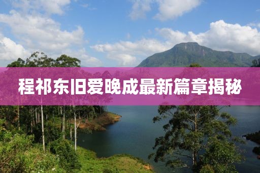 程祁东旧爱晚成最新篇章揭秘