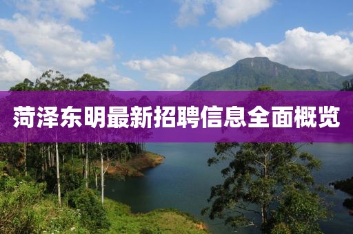 菏泽东明最新招聘信息全面概览