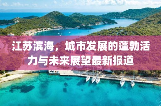 江苏滨海，城市发展的蓬勃活力与未来展望最新报道