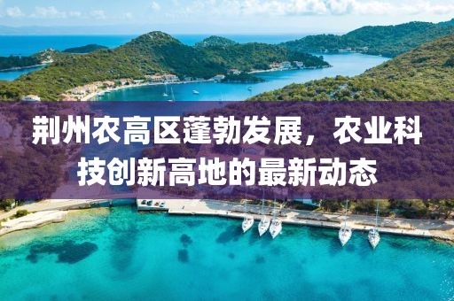 荆州农高区蓬勃发展，农业科技创新高地的最新动态