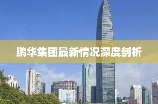 鹏华集团最新情况深度剖析