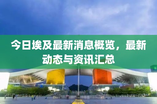 今日埃及最新消息概览，最新动态与资讯汇总