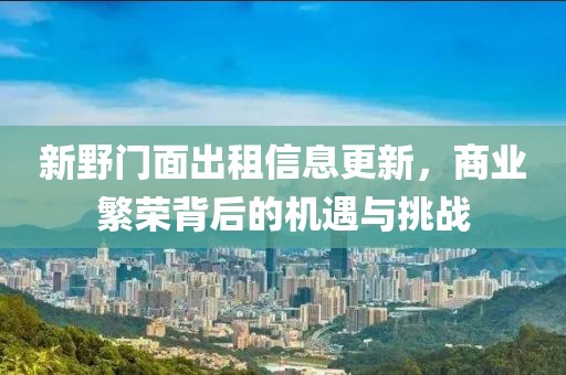 新野门面出租信息更新，商业繁荣背后的机遇与挑战