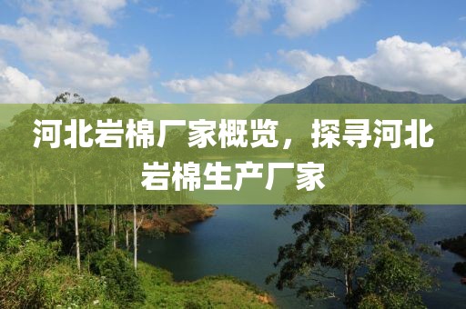河北岩棉厂家概览，探寻河北岩棉生产厂家