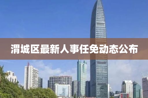 渭城区最新人事任免动态公布